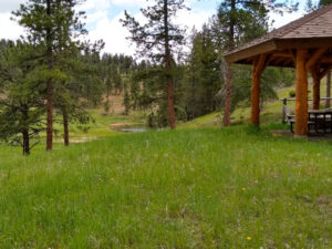 Shelter at the Flying J Ranch Park