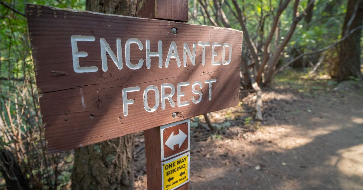 Apex Park, Enchanted Forest Trail, showing one-way biking direction.