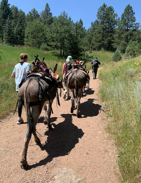 Burro patrol on the job