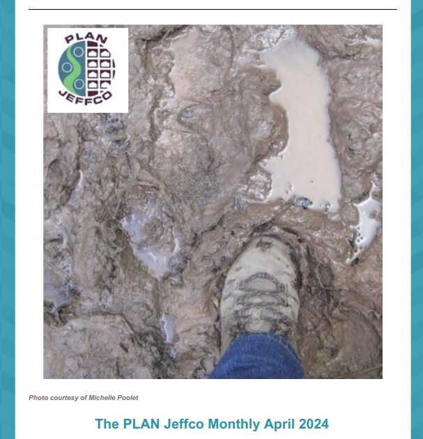 PLAN Jeffco Monthly April 2024 thumbnail