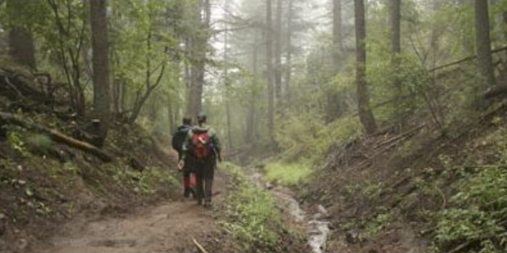 Apex Open Space Park, the Enchanted Forest Trail with hikers on a misty morning